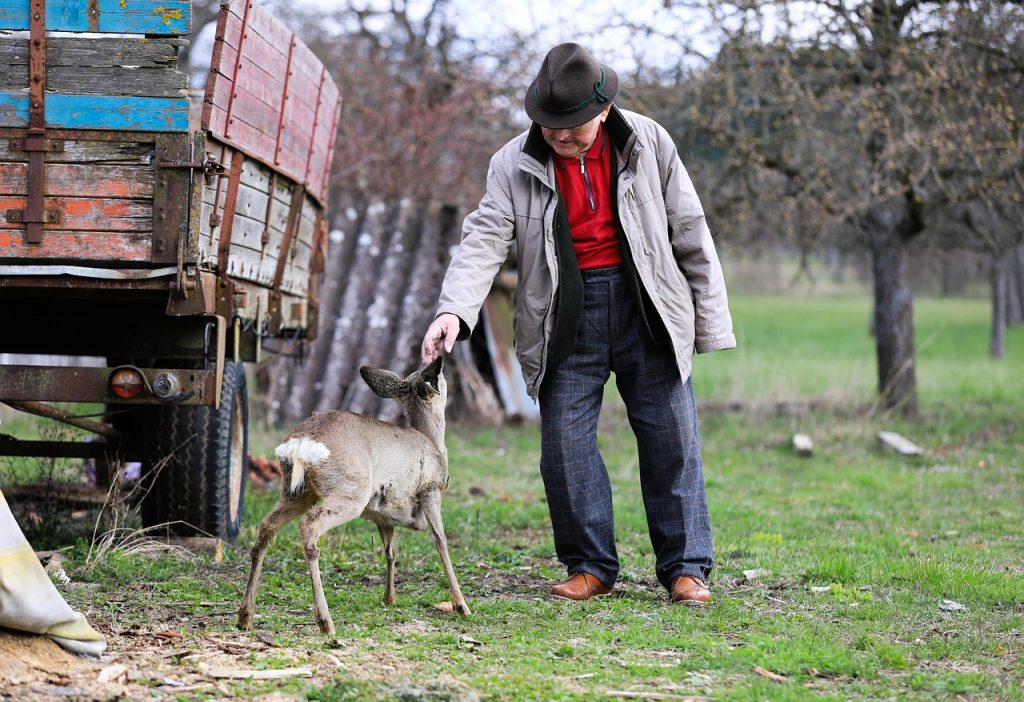 old man, love, old age, human, roe, deer, farm, pet, old man, old man, old man, old man, old man, human, human, human
